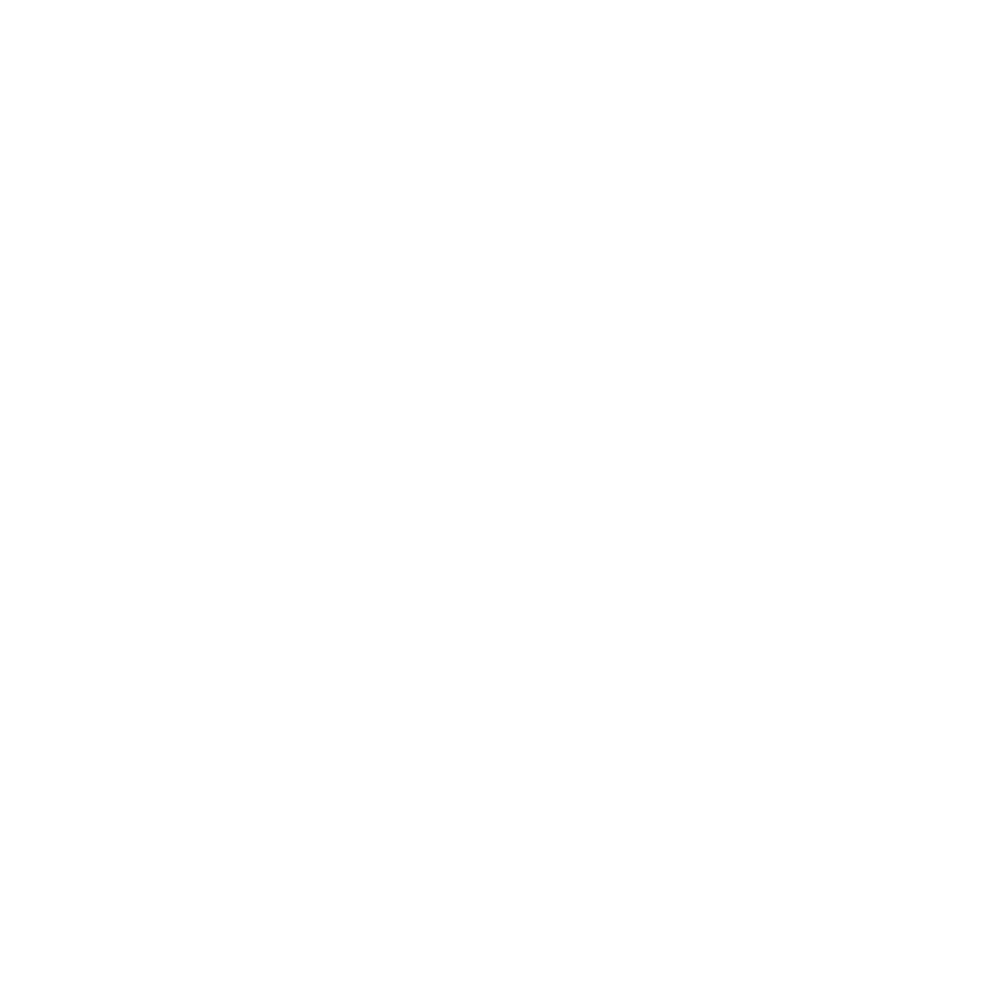 fearless photographers logo